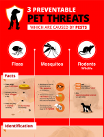 3 Preventable Pet Threats Which Are Caused By Pests [INFOGRAPHIC]