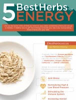 5 Best Herbs for Energy [INFOGRAPHIC]