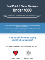 Best Budget Point And Shoot Cameras [INFOGRAPHIC]