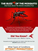 The Buzz of the Mosquito [INFOGRAPHIC]