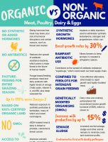 Organic vs Non Organic Meat, Poultry, Dairy, and Egg Farming [INFOGRAPHIC]