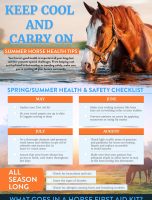 Keep Cool and Carry On: Summer Horse Health Tips [INFOGRAPHIC]