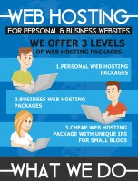 SeekaHost Web Hosting for Personal and Business Websites [INFOGRAPHIC]