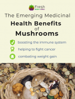 The Emerging Medicinal Health Benefits of Mushrooms [INFOGRAPHIC]