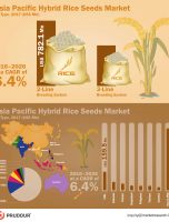 Hybrid Rice Seeds Market Witnessed CAGR of Over 6.4% During 2017-2026 [INFOGRAPHIC]