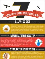7 Benefits Of Eating Edible Bird’s Nest [INFOGRAPHIC]