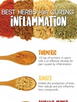 Best Herbs for Curing Inflammation Fast [INFOGRAPHIC]