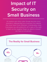 The Impact of IT Security on Small Business [INFOGRAPHIC]