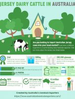 Jersey Dairy Cow Facts [INFOGRAPHIC]