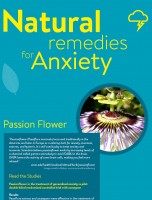 Natural Remedies for Anxiety and Stress [INFOGRAPHIC]