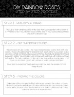 Learn How to Create Rainbow Roses [INFOGRAPHIC]