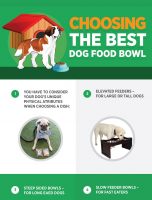 Choosing the Best Dog Food Bowl [INFOGRAPHIC]