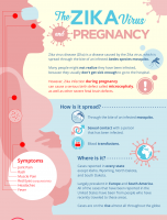 The Zika Virus and Pregnancy [INFOGRAPHIC]