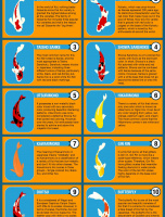 11 Most Popular Types Of Koi Fish [INFOGRAPHIC]