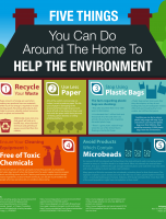 5 Things You Can Do Around the Home to Help the Environment [INFOGRAPHIC]
