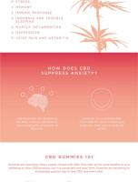 Goodrays CBD Gummies [INFOGRAPHIC]