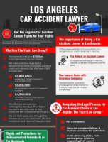 Los Angeles Car Accident Lawyer [INFOGRAPHIC]