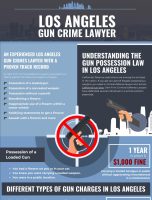Los Angeles Gun Crime Lawyer [INFOGRAPHIC]