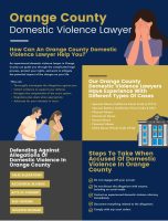 Orange County Domestic Violence Lawyer [INFOGRAPHIC]