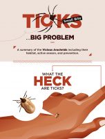 Ticks. Small Bite, Big Problem. [INFOGRAPHIC]