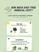 Tree Removal Costs in Brisbane [INFOGRAPHIC]
