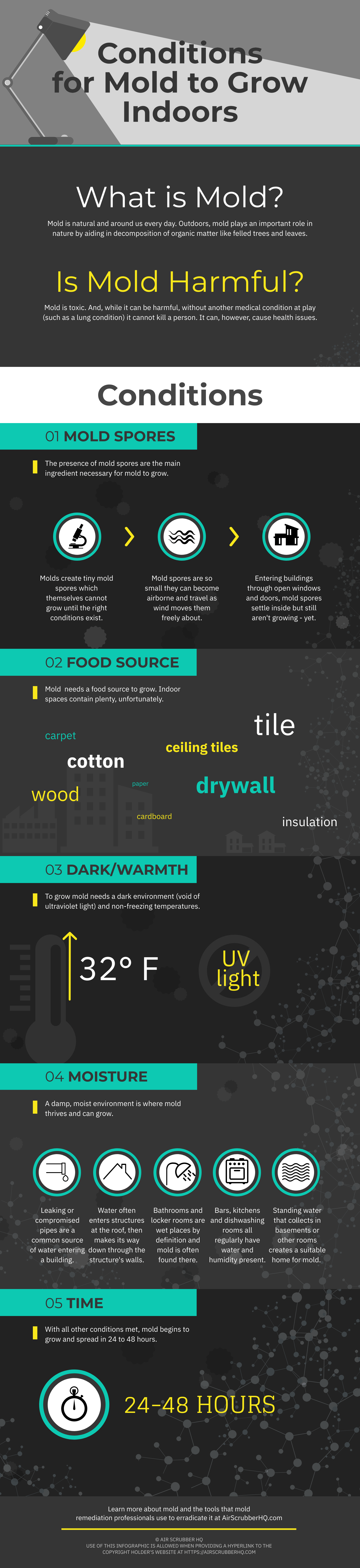 Conditions for Mold to Grow Indoors [INFOGRAPHIC] [INFOGRAPHIC]