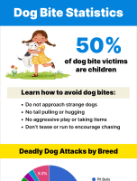 Dog Bite Statistics [INFOGRAPHIC]