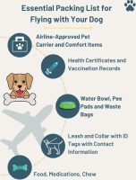 Essential Packing List for Flying with a Dog in-cabin [INFOGRAPHIC]